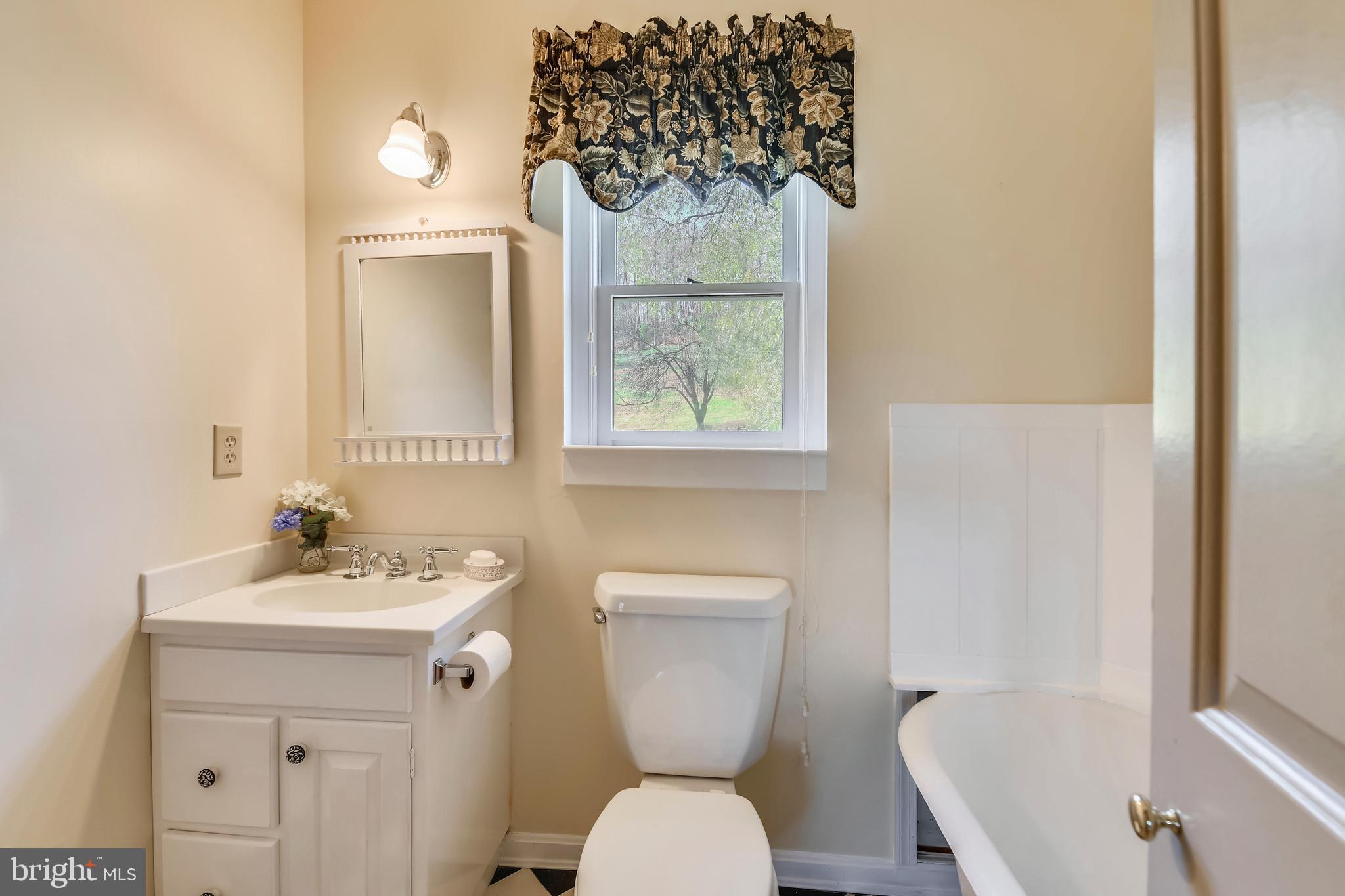 669 Apple Pie Ridge Road Winchester, VA 22603 - Photo 45 of 67 Hallway bathroom with tub