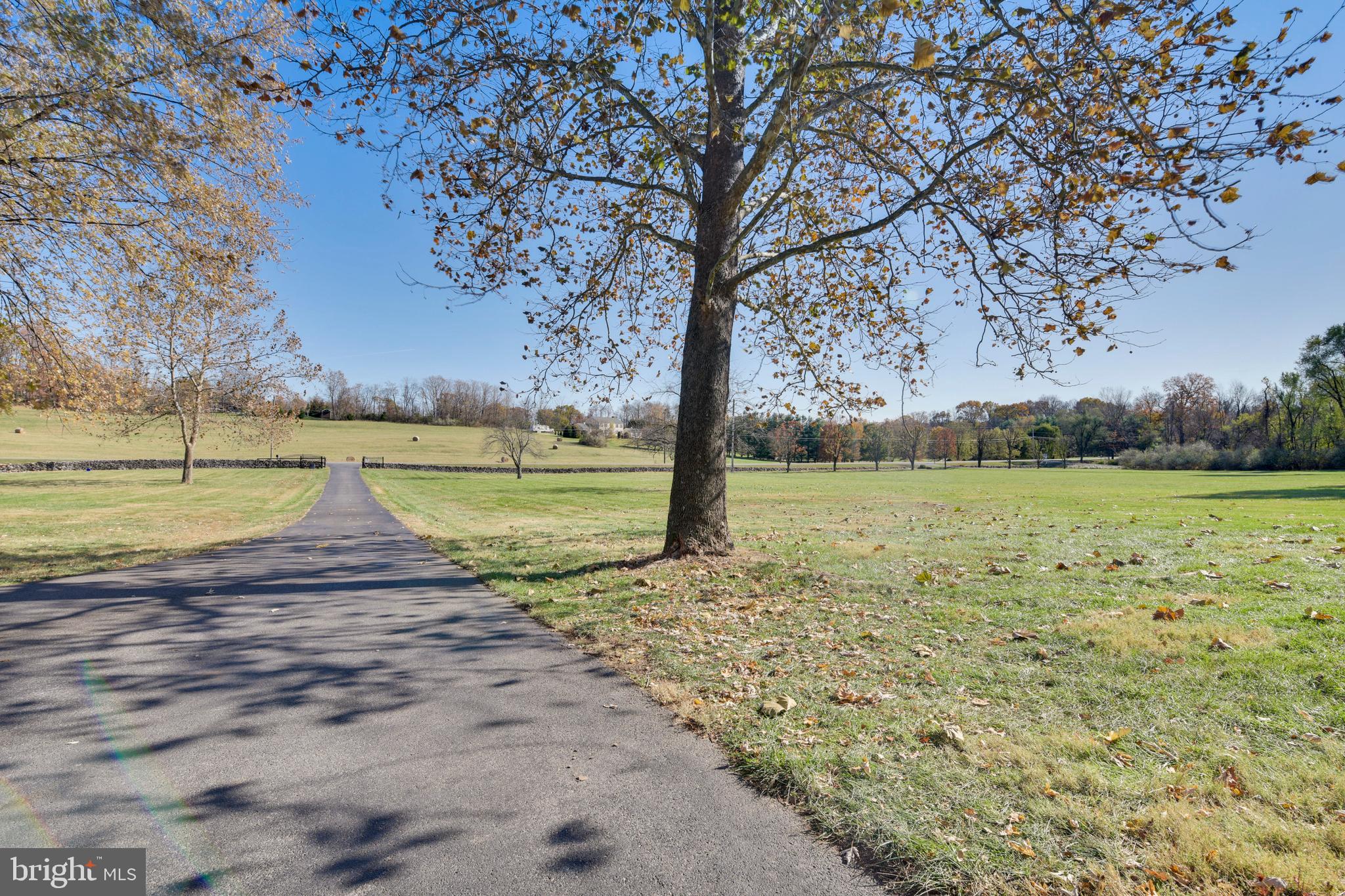 669 Apple Pie Ridge Road Winchester, VA 22603 - Photo 52 of 67 View from house to front security GATE