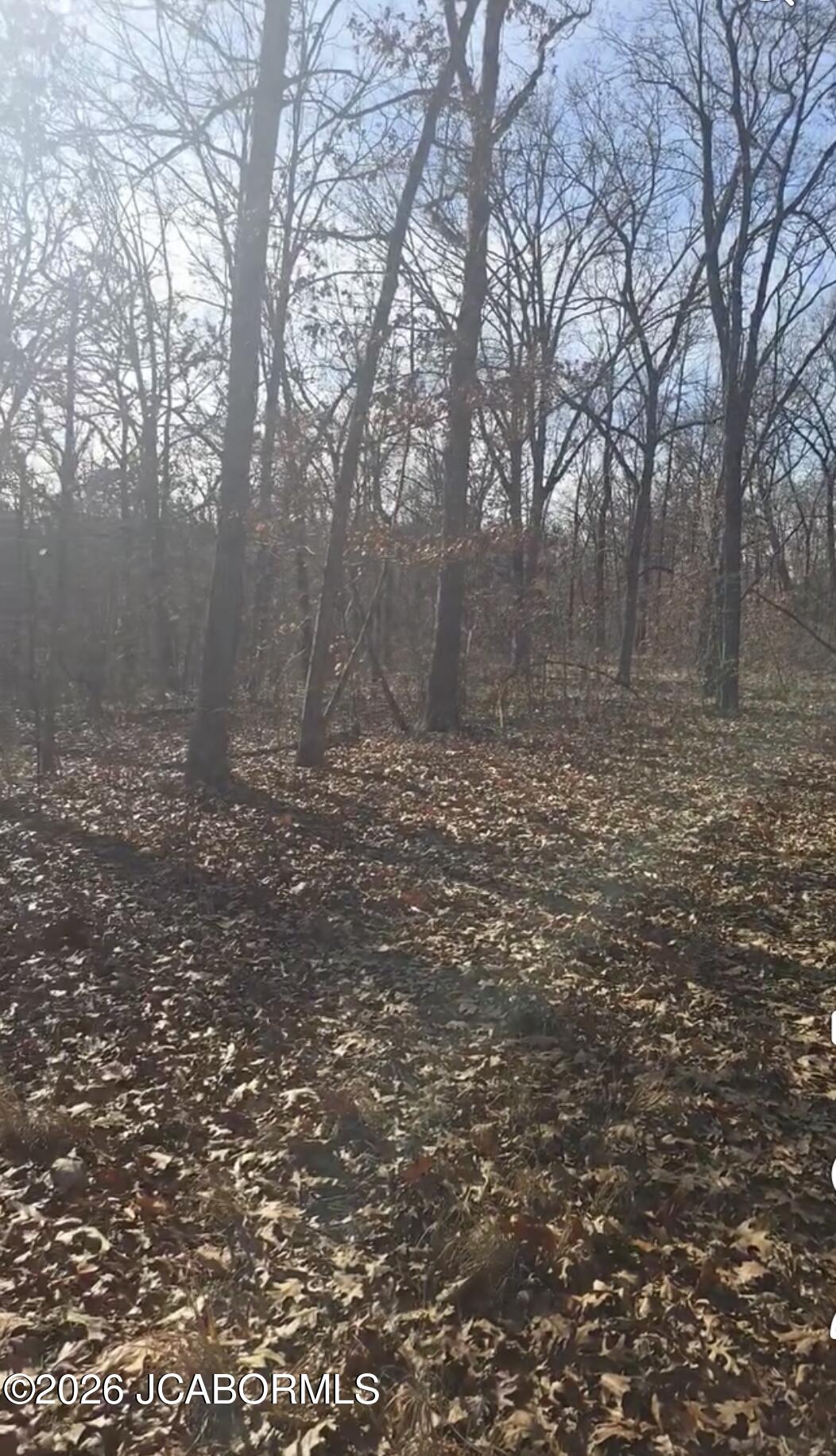 Tbd Possum Trot Road Stover, MO 65078 - Photo 4 of 6