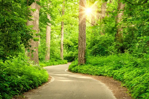 a view of an ocean from a balcony