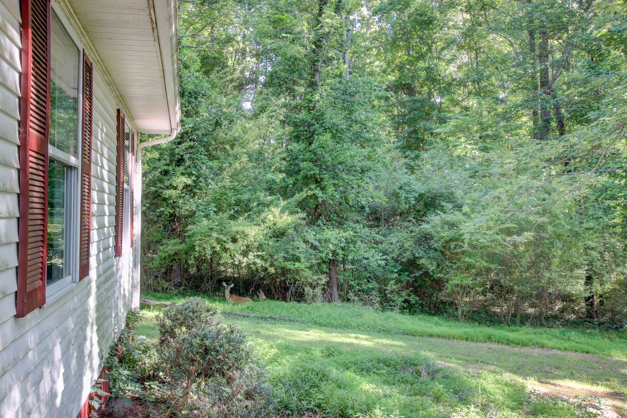 2092 Sanders Road Clarksville, TN 37043 - Photo 5 of 42 Gallery Image 5