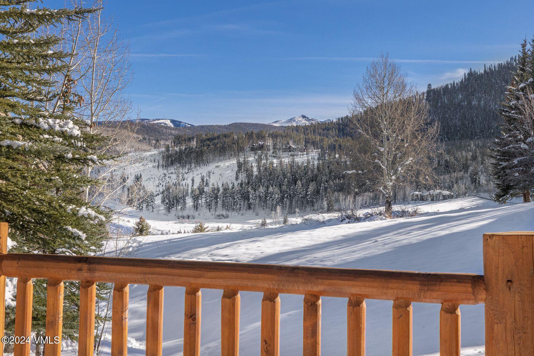 31 Bluegrass Court Edwards, CO 81632 - Photo 43 of 45 photo_online_042