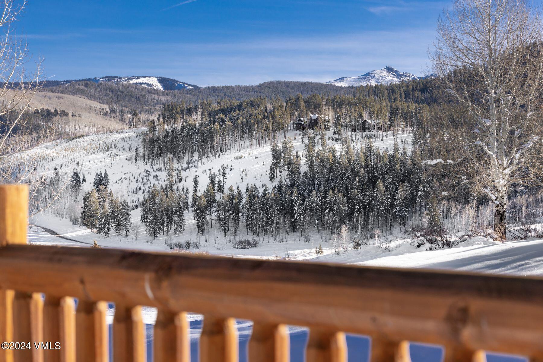 31 Bluegrass Court Edwards, CO 81632 - Photo 44 of 45 photo_online_043