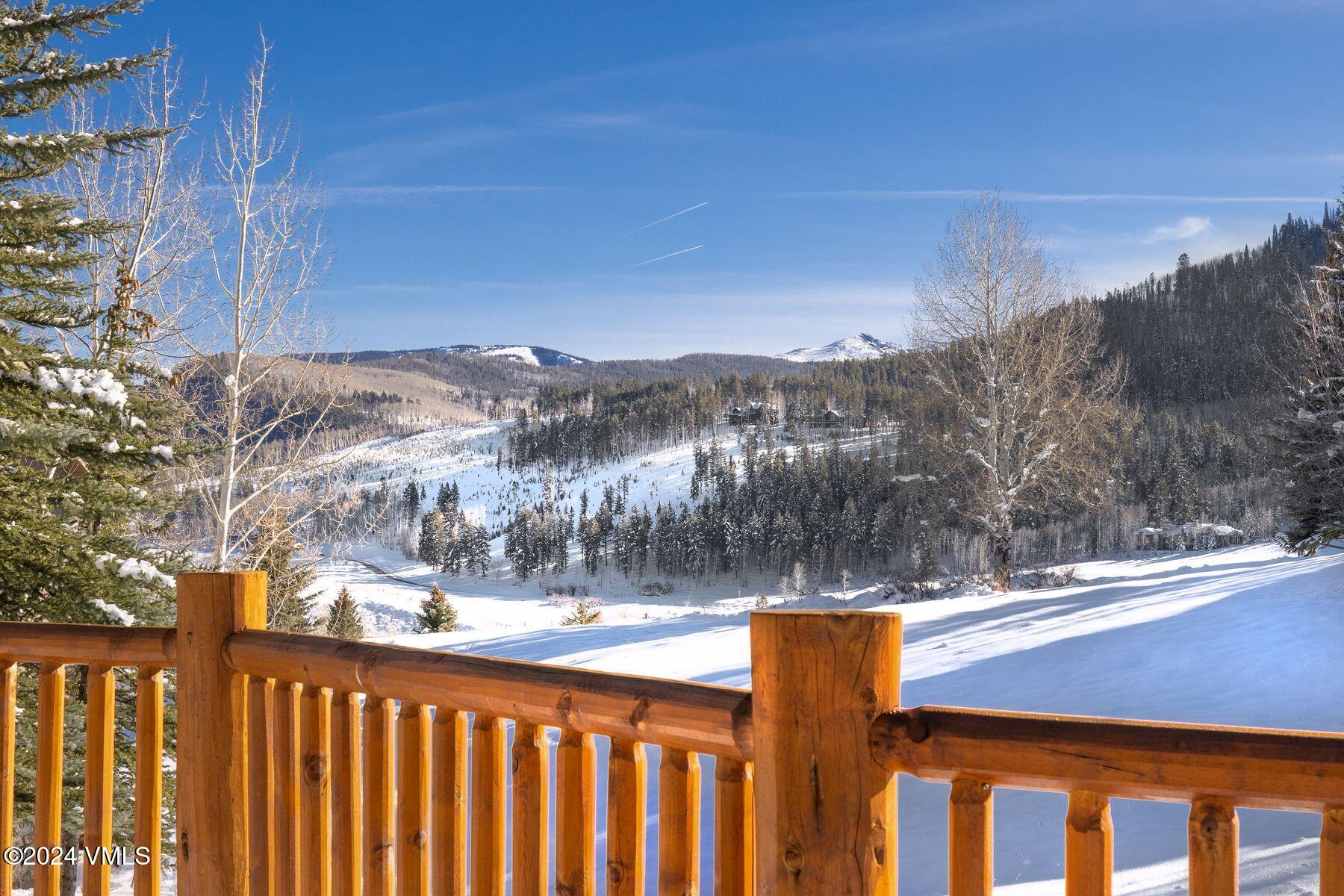 31 Bluegrass Court Edwards, CO 81632 - Photo 7 of 45 photo_online_006