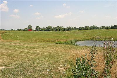 390 Pea Ridge Road Stamping Ground, KY 40379 - Photo 15 of 18 Photo 15