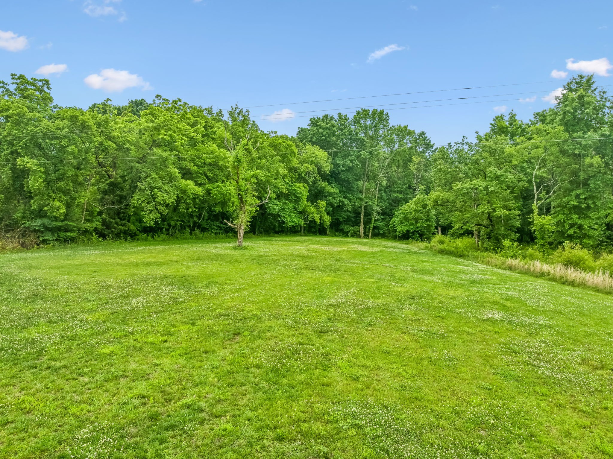 280 Kingdom Road Unionville, TN 37180 - Photo 35 of 65 a grassy field with a tree in the background