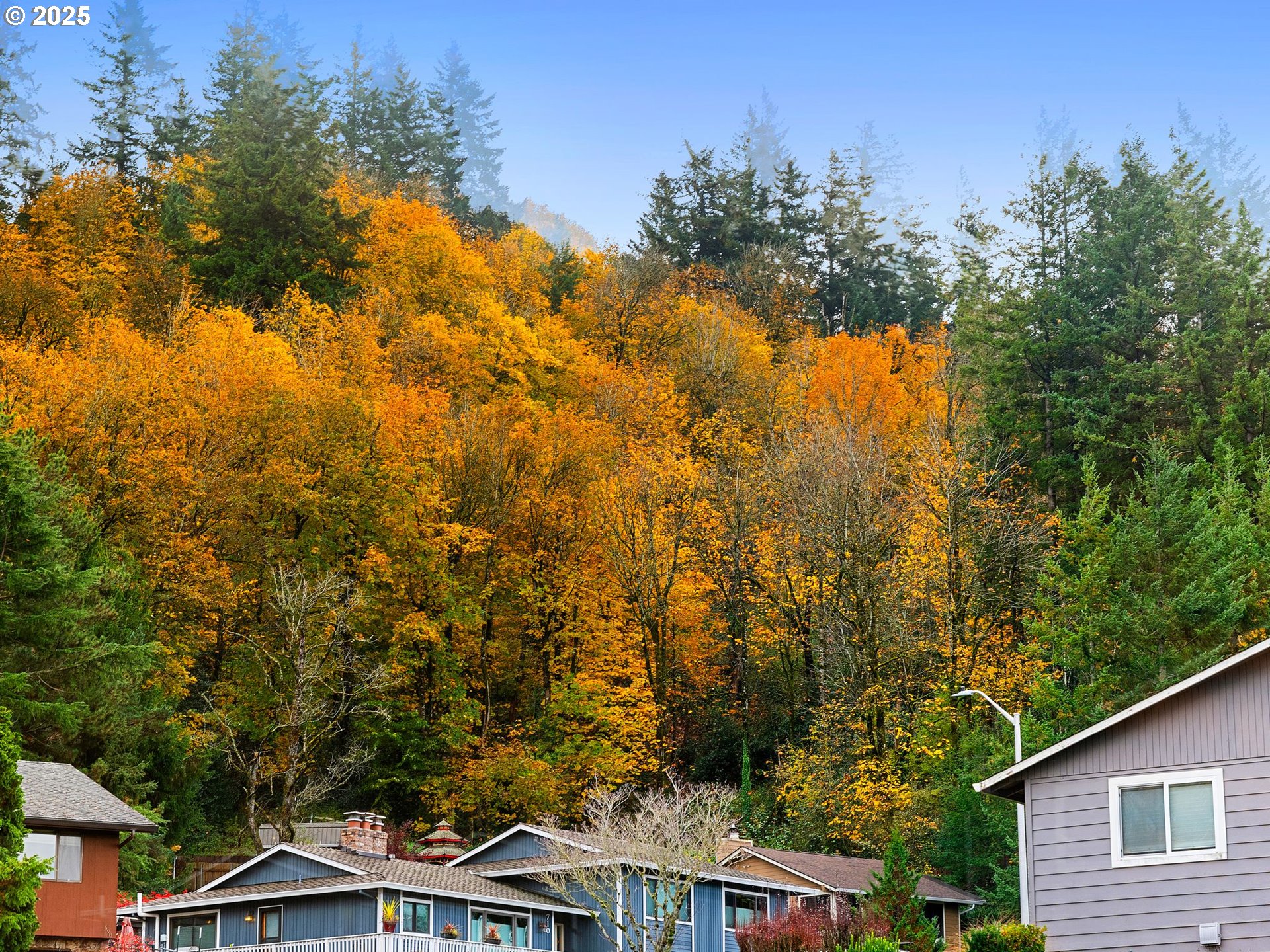 555 Southwest 7th Street Gresham, OR 97080 - Photo 11 of 48 a view of a yard with plants and trees