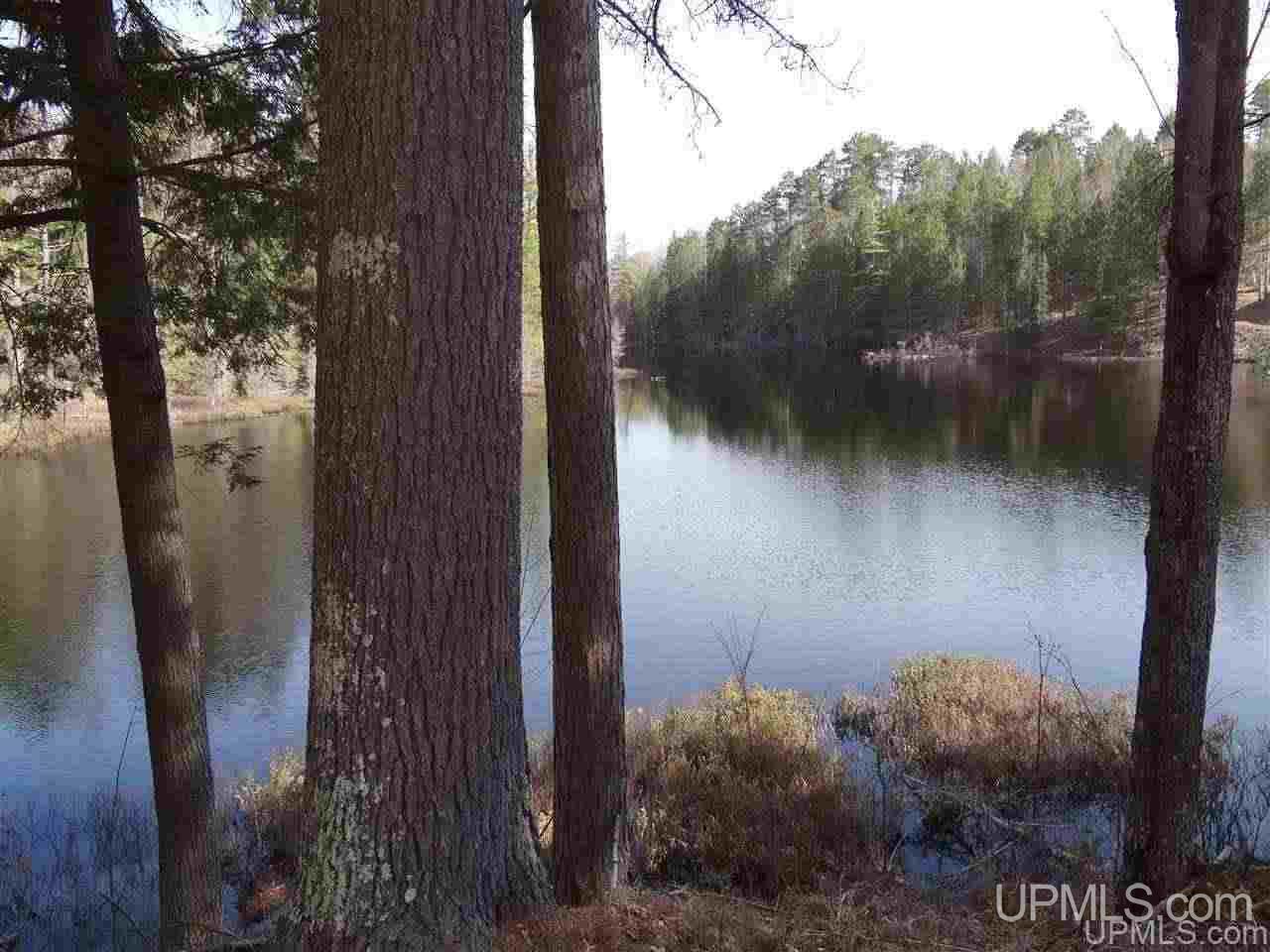 12791 Kelly Lake Road Baraga, MI 49908 - Photo 21 of 47 Gallery Image 21