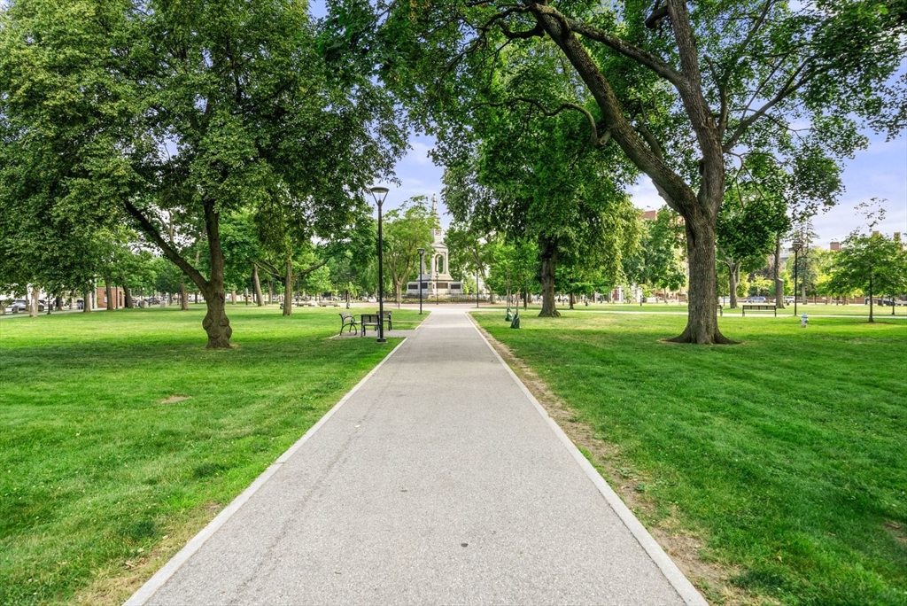 50 Follen Street, Unit 306 Cambridge, MA 02138 - Photo 18 of 20