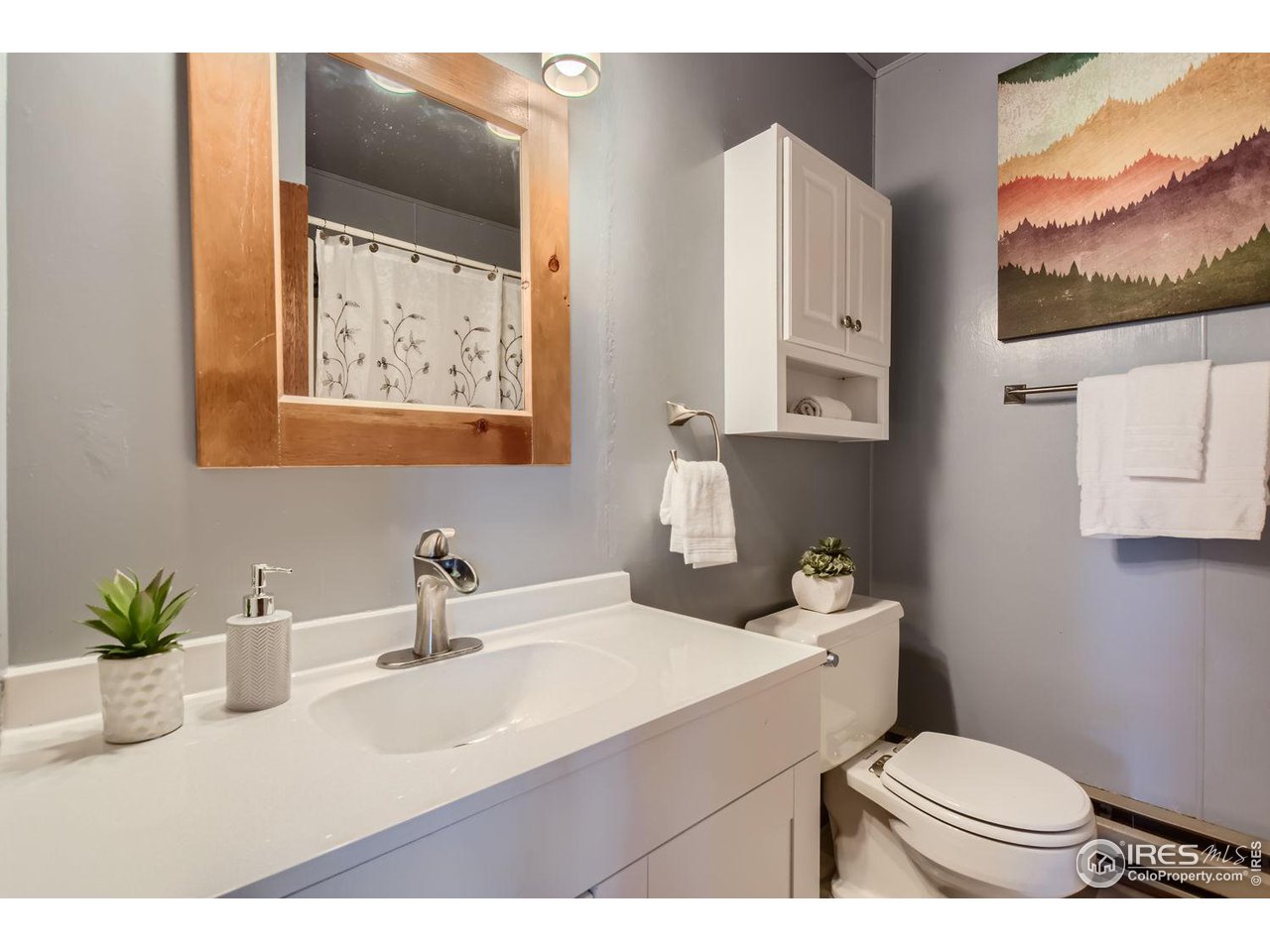 113 Bramer Road Ward, CO 80481 - Photo 17 of 32 Bathroom (Main floor)