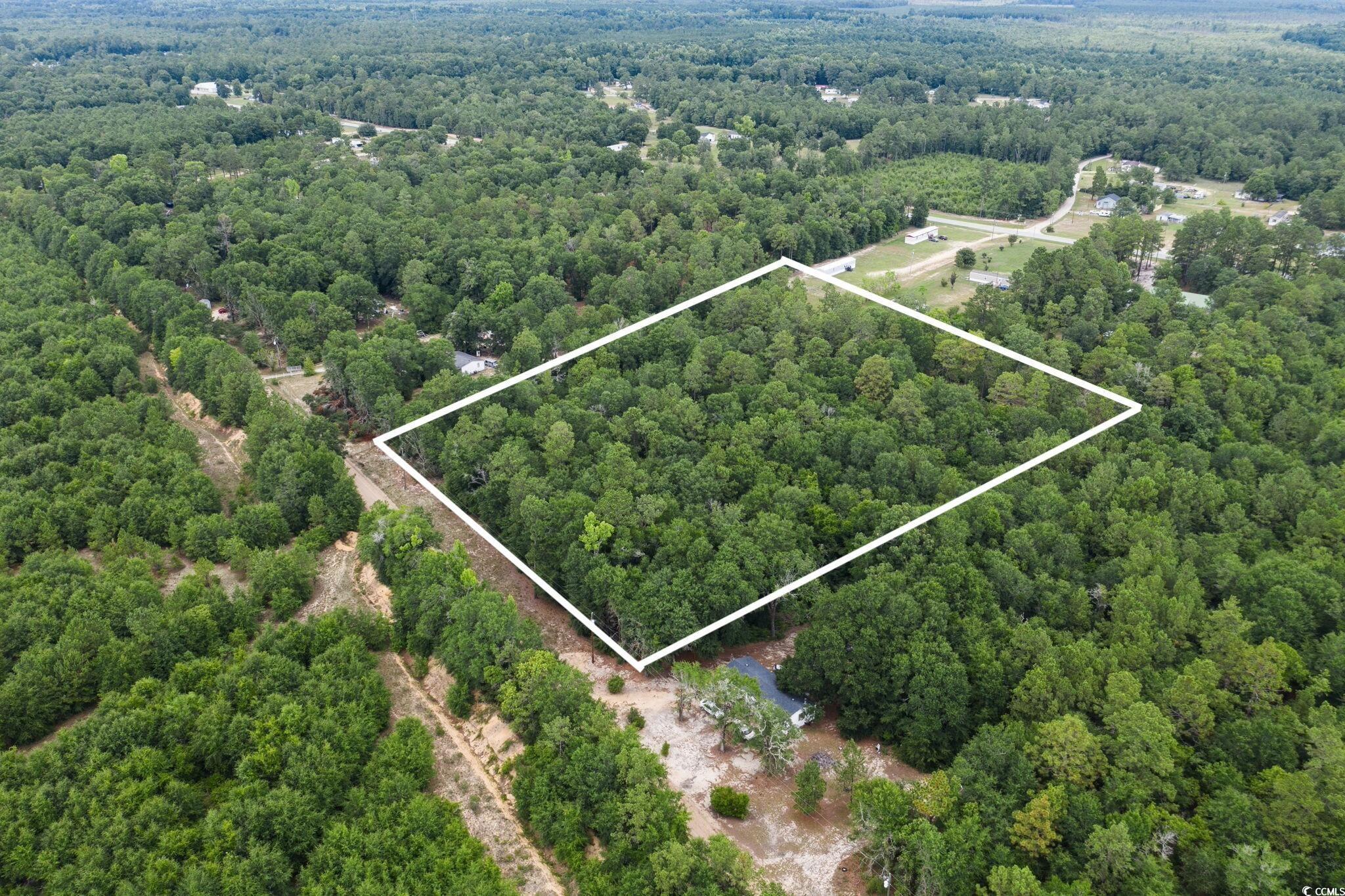 0 Johnson Loop Gresham, SC 29546 - Photo 3 of 7 Birds eye view of property
