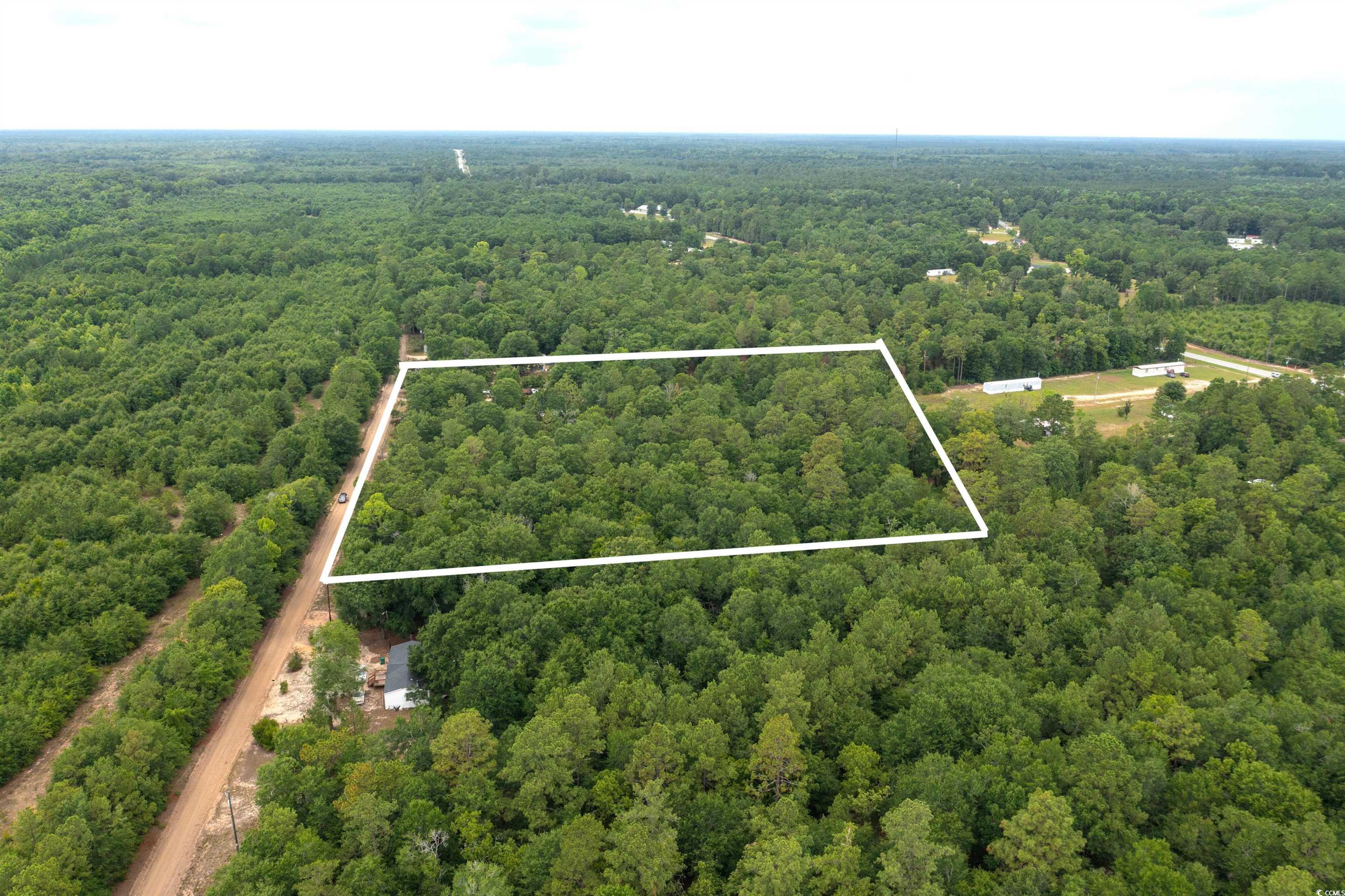0 Johnson Loop Gresham, SC 29546 - Photo 4 of 7 Bird's eye view