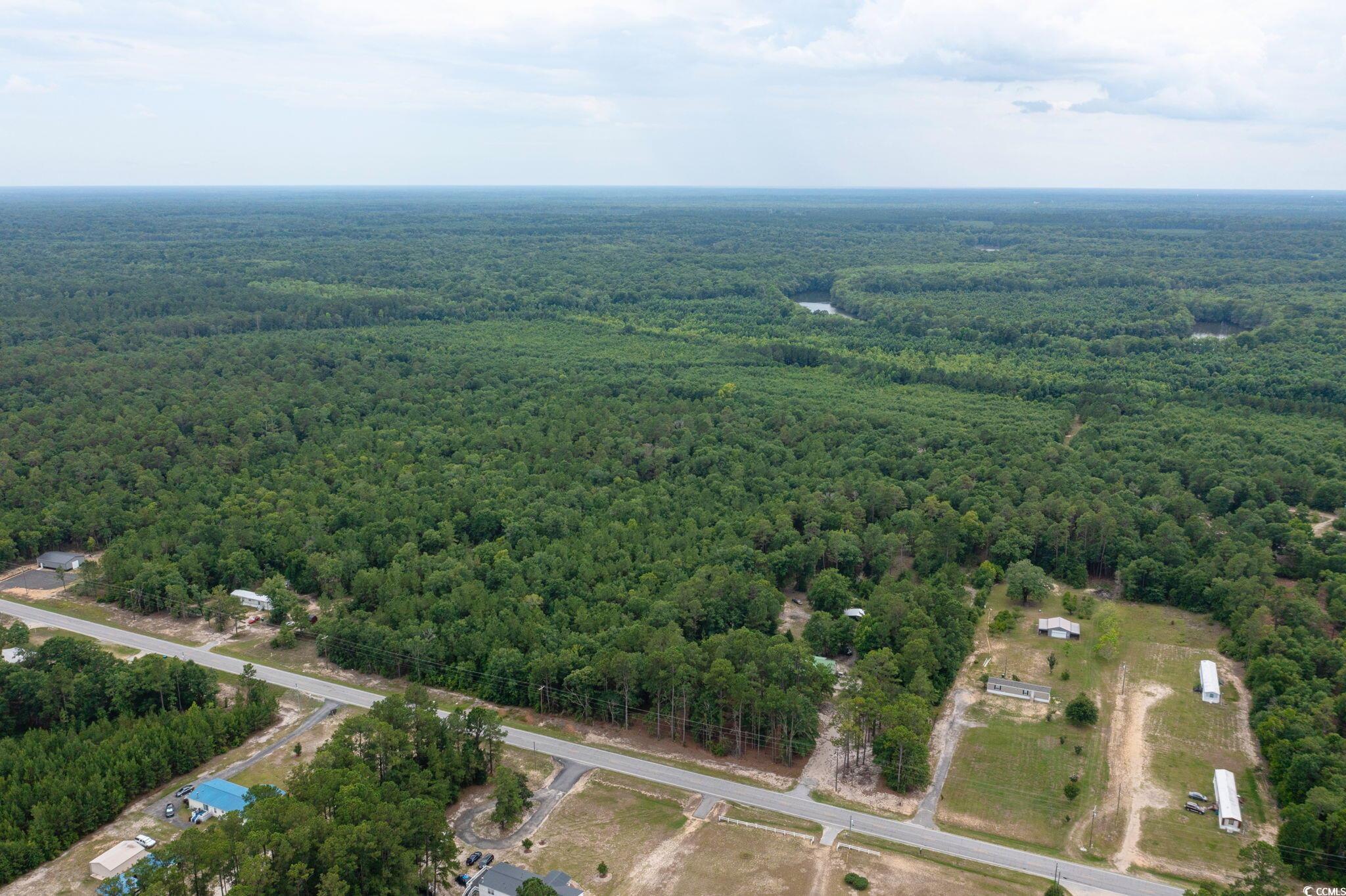 0 Johnson Loop Gresham, SC 29546 - Photo 5 of 7 Aerial view
