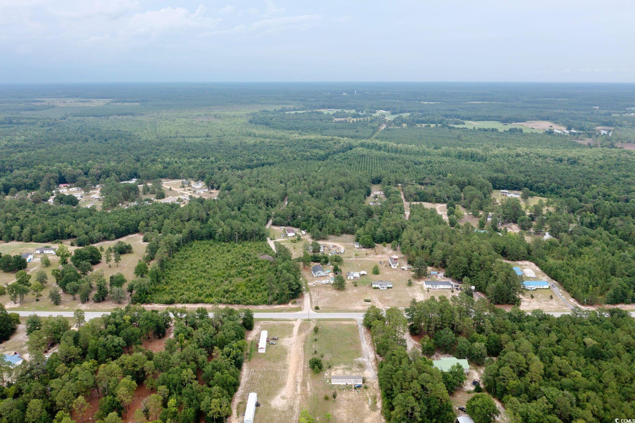 0 Johnson Loop Gresham, SC 29546 - Photo 6 of 7 Birds eye view of property
