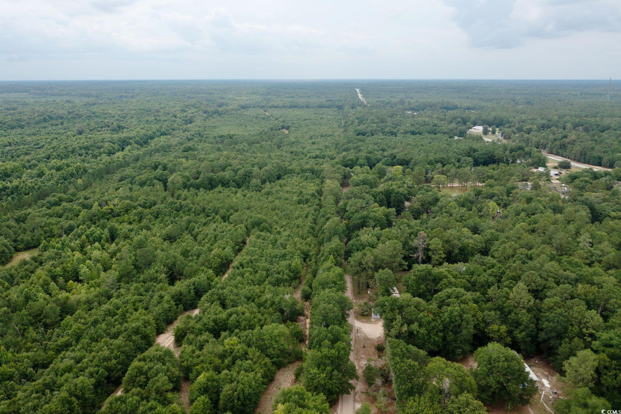 0 Johnson Loop Gresham, SC 29546 - Photo 7 of 7 Aerial view