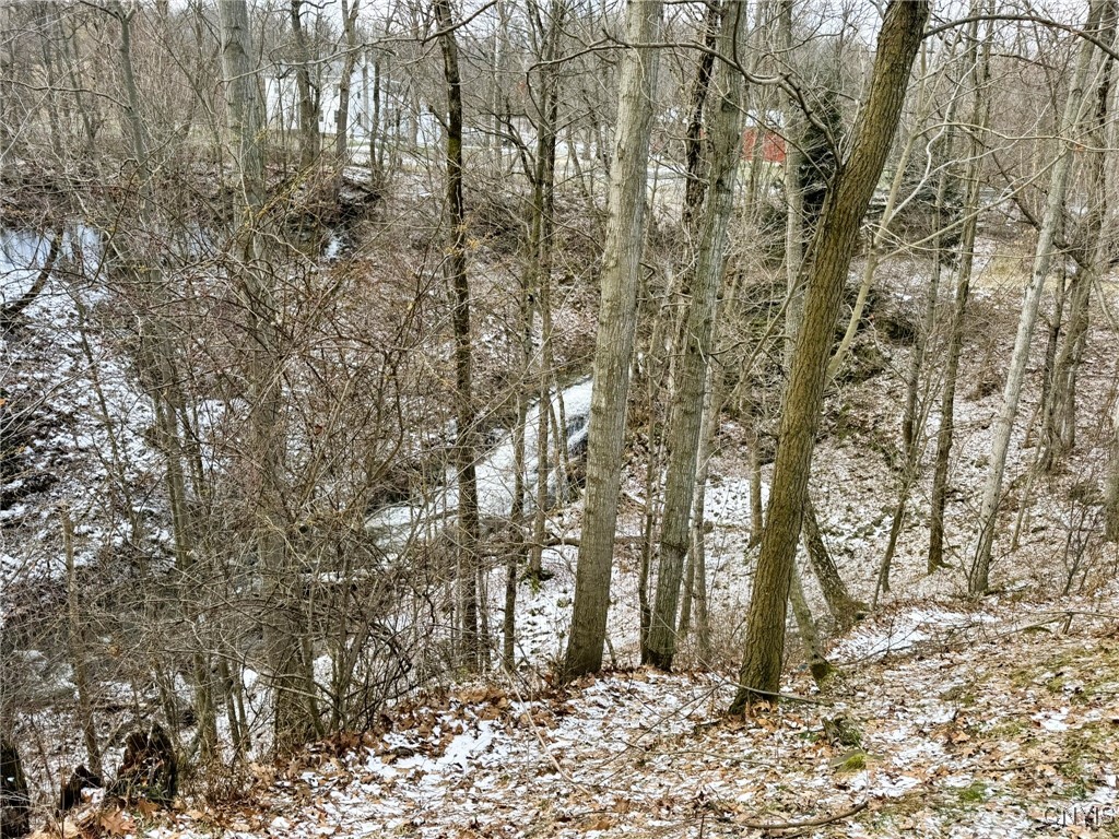 4256 12 Corners Road Niles, NY 13152 - Photo 3 of 14 Waterfall Area
