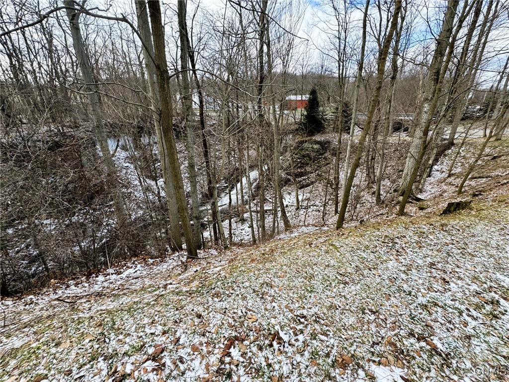 4256 12 Corners Road Niles, NY 13152 - Photo 4 of 14 Waterfall Area