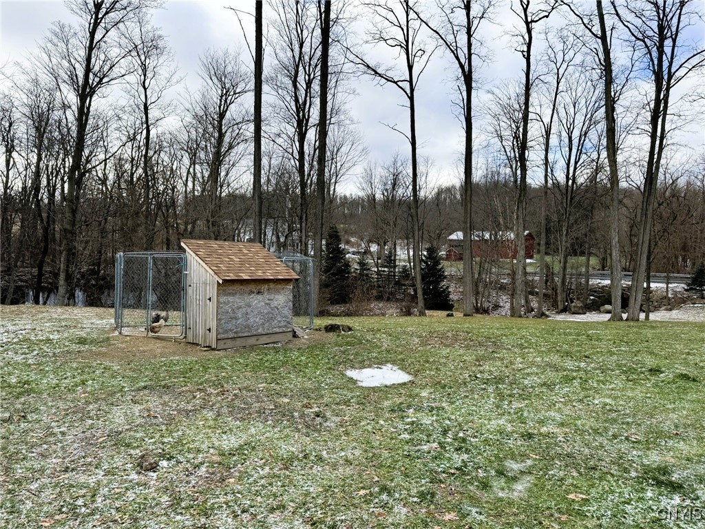 4256 12 Corners Road Niles, NY 13152 - Photo 8 of 14 Chicken Coop