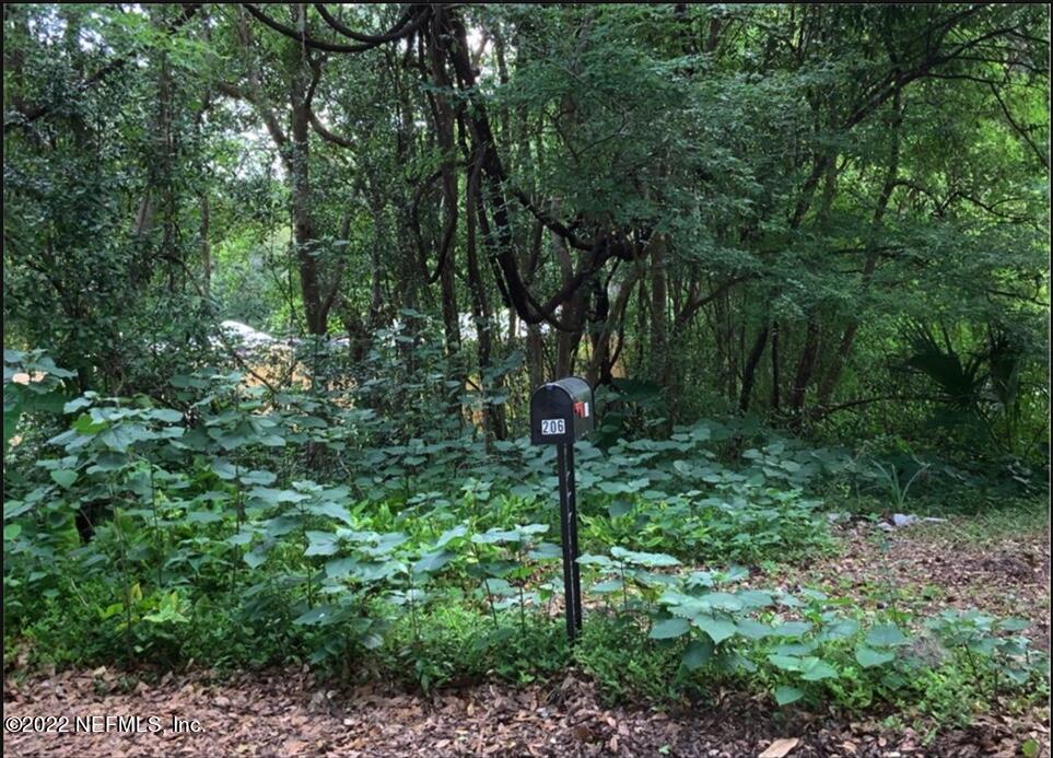 0 Southwest 7 Street Micanopy, FL 32667 - Photo 1 of 1 AREA PHOTO