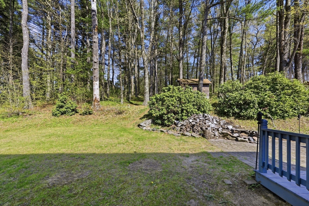 66 Buttonwood Avenue Sutton, MA 01590 - Photo 42 of 42 a view of a yard with plants and trees