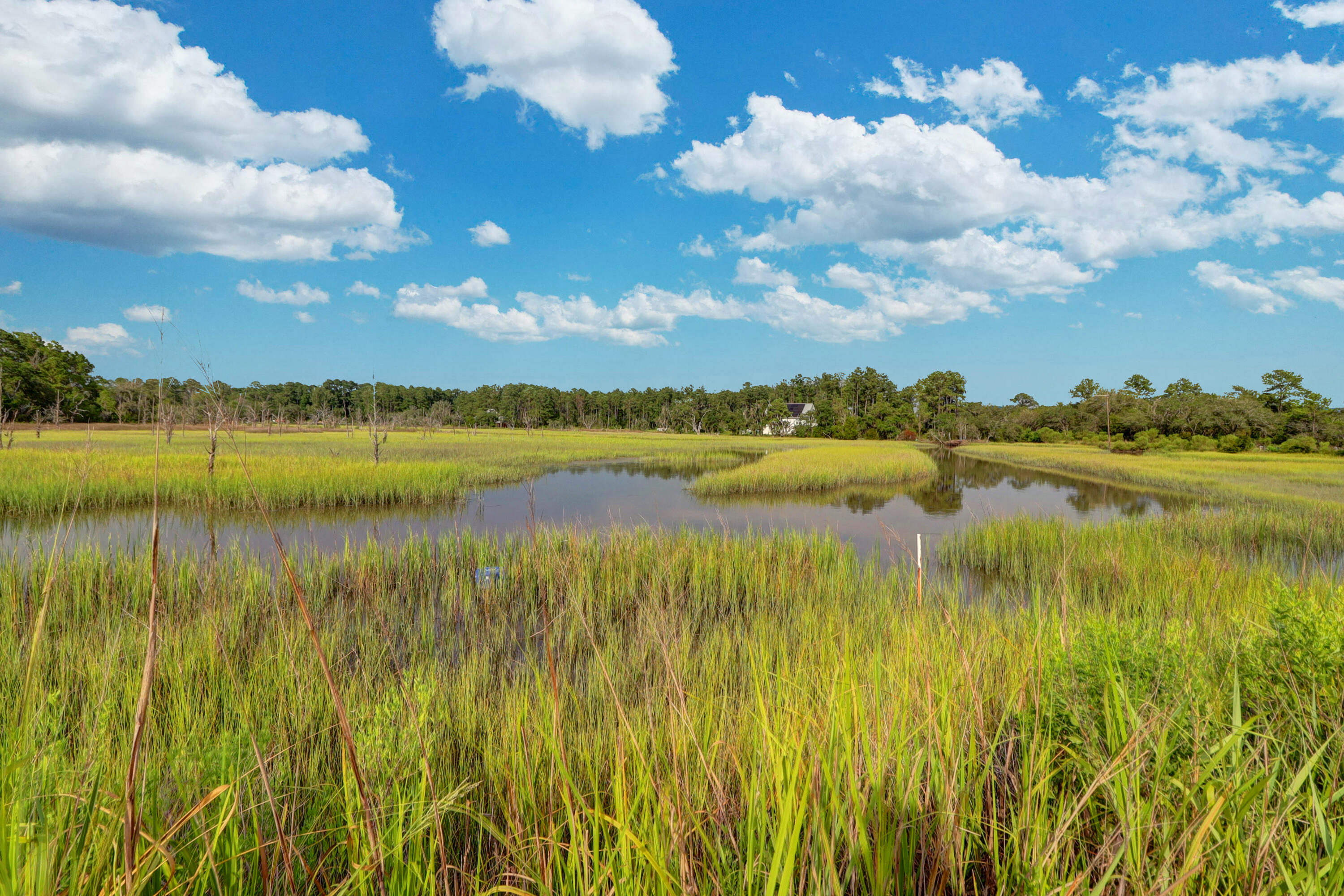 4760 Walking Horse Road Meggett, SC 29449 - Photo 2 of 44 Marsh View