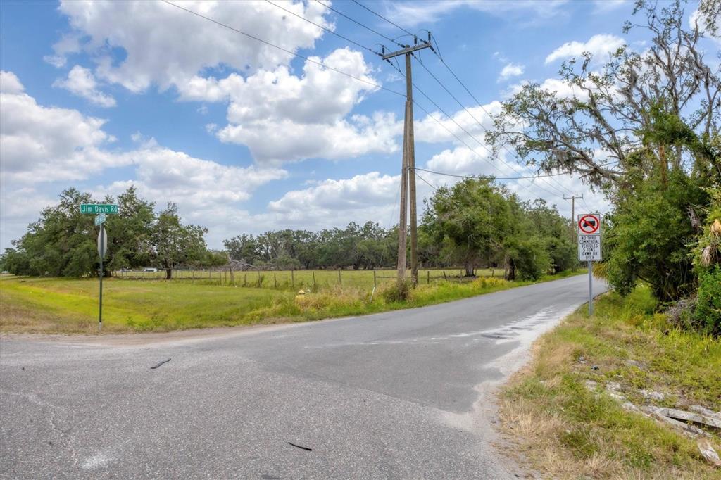6720 Jim Davis Road Parrish, FL 34219 - Photo 9 of 16 a view of a road with a big yard and a large tree in the background