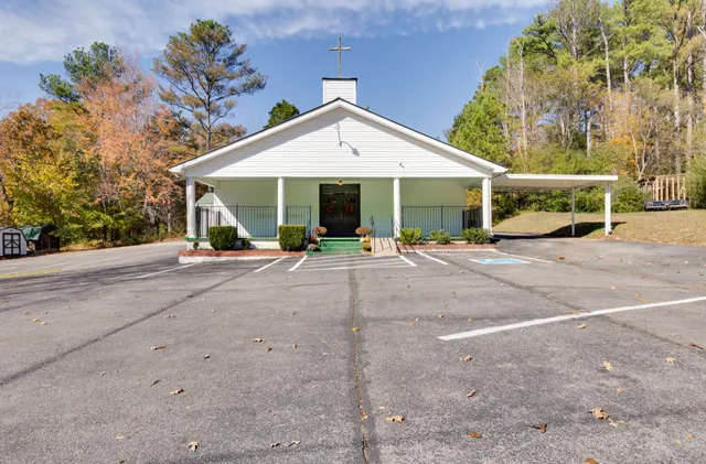 a outdoor space with lots of palm trees