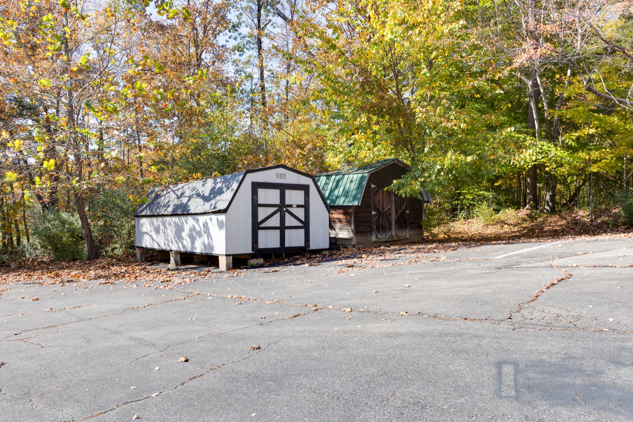 4479 Highway 100 Lyles, TN 37098 - Photo 7 of 13