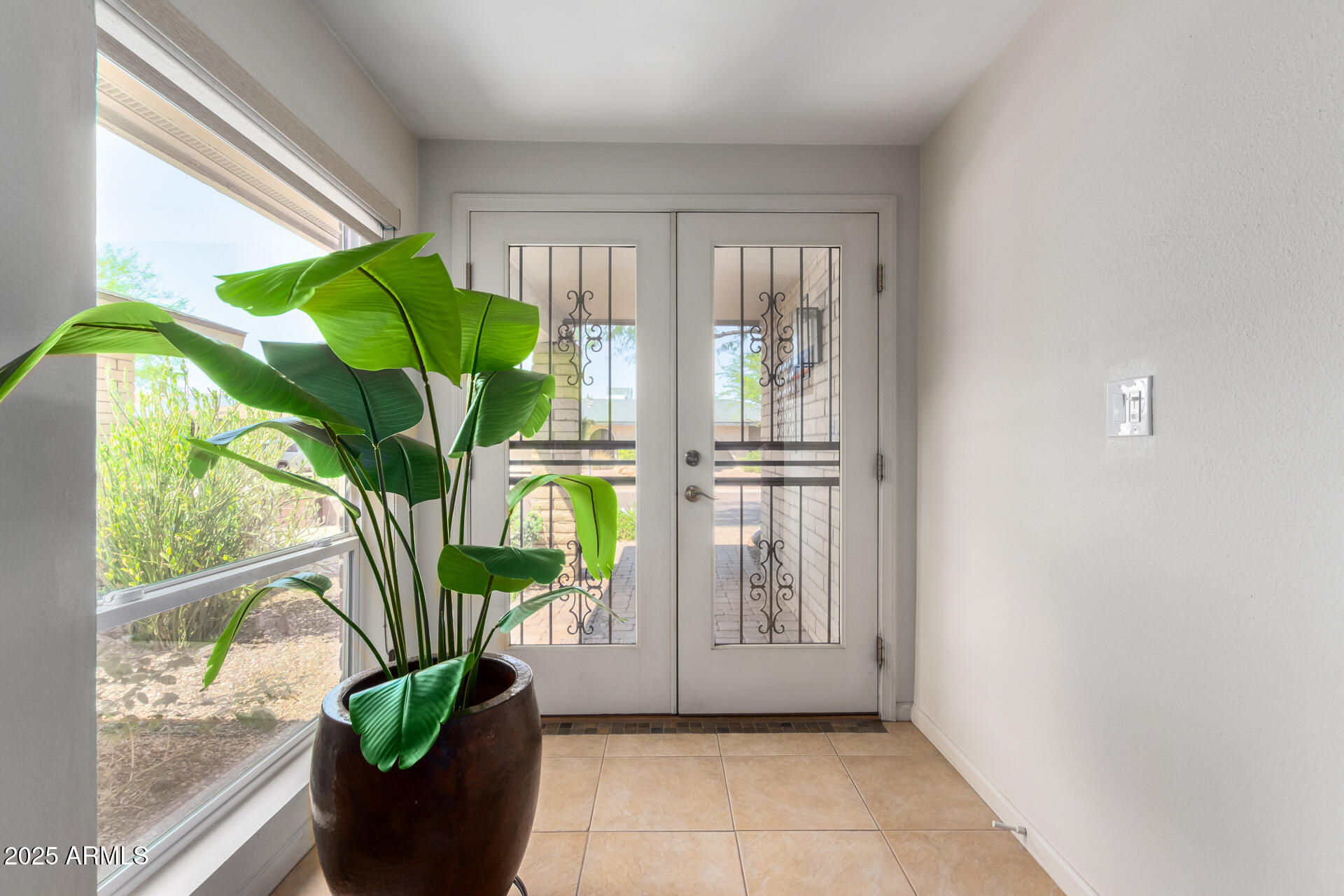 2909 East Las Rocas Drive Phoenix, AZ 85028 - Photo 36 of 48 a view of a potted plant in front of a window