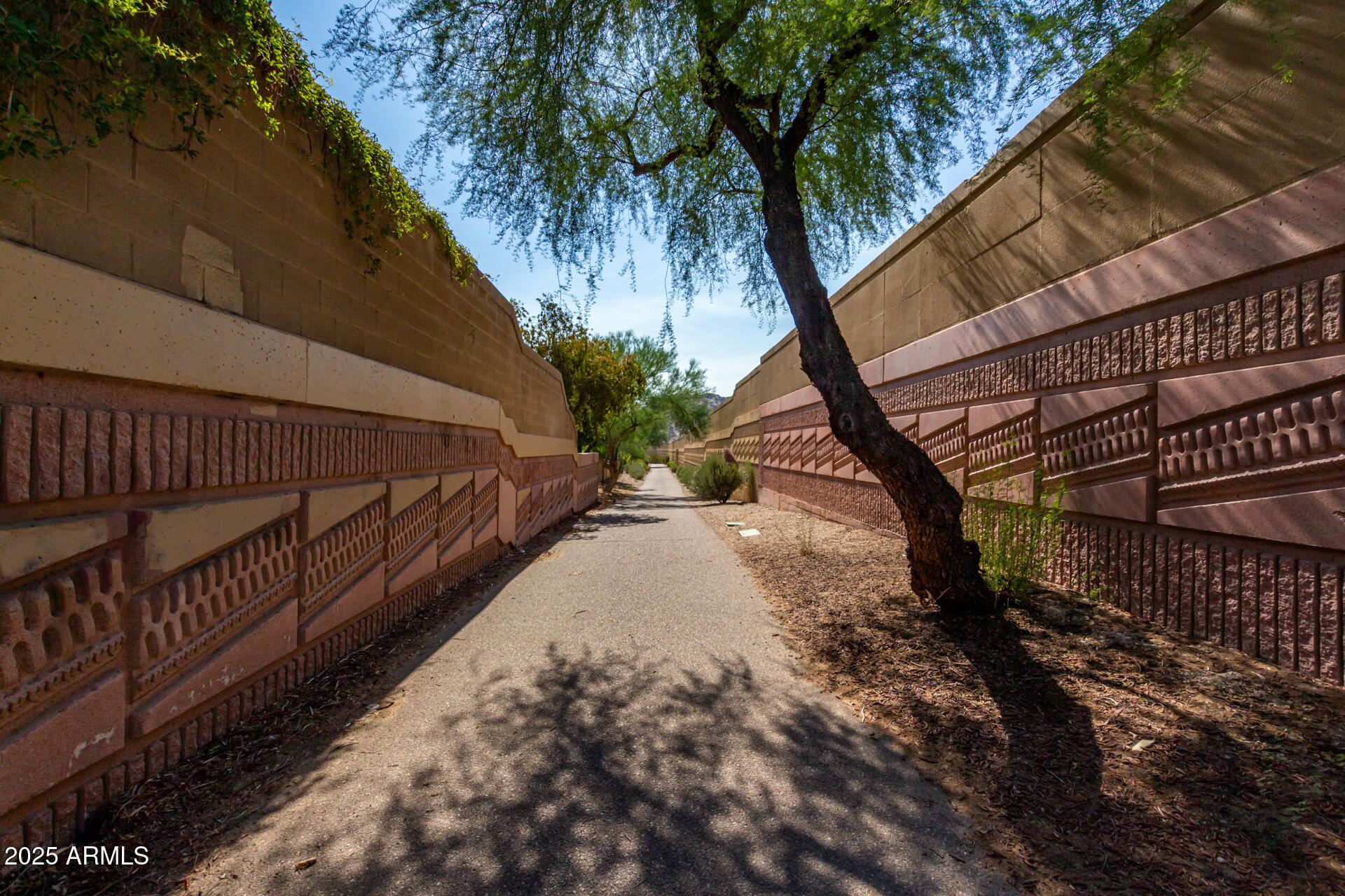 2909 East Las Rocas Drive Phoenix, AZ 85028 - Photo 44 of 48 a view of a backyard with wooden fence