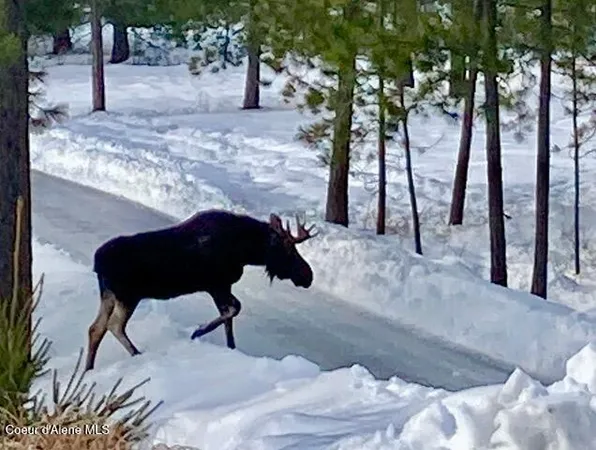 $1,285,000 | 19712 North Cottagewood Lane, Rathdrum, ID 83858