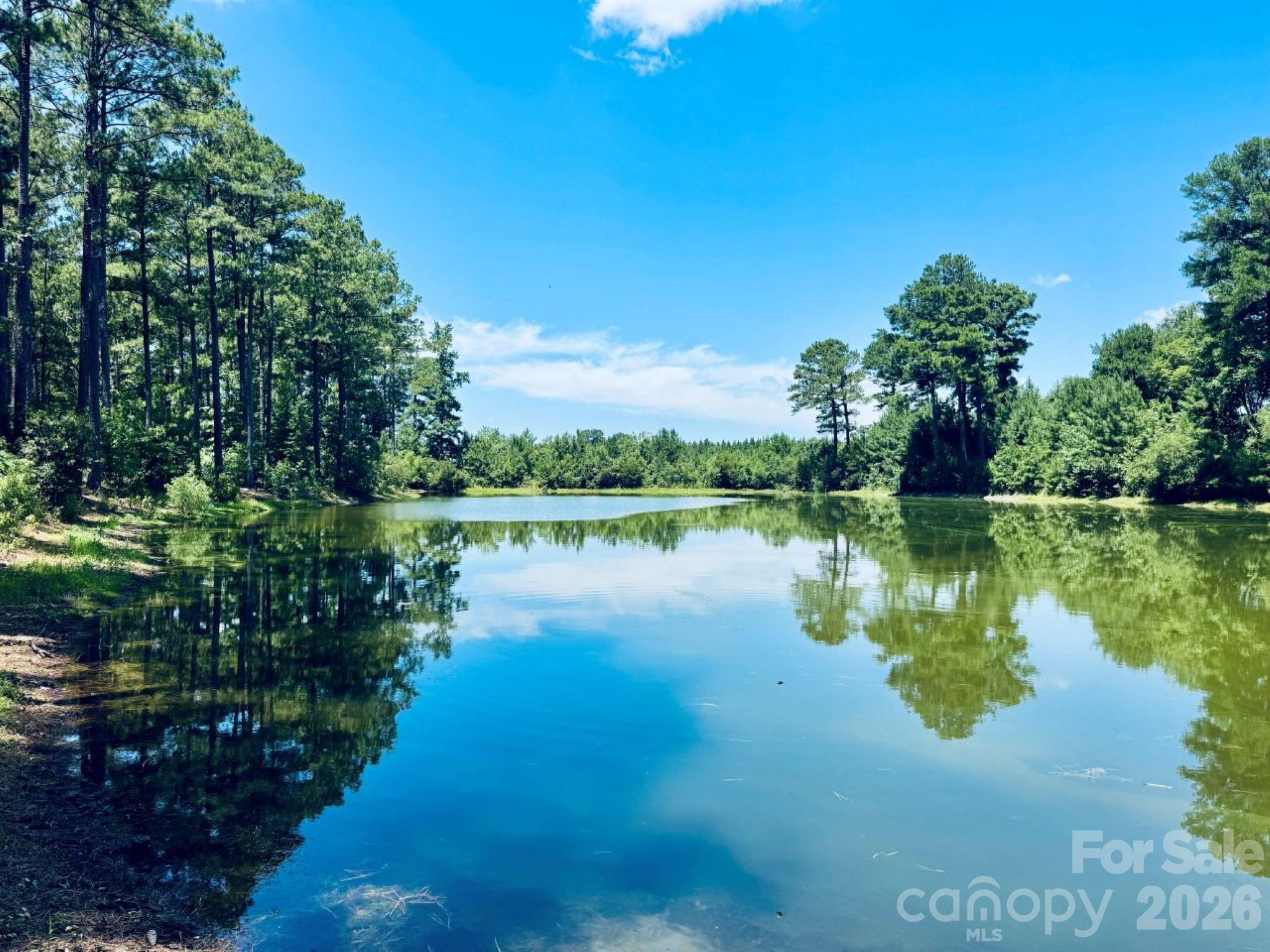 5326 Judson Road Clio, SC 29525 - Photo 22 of 29