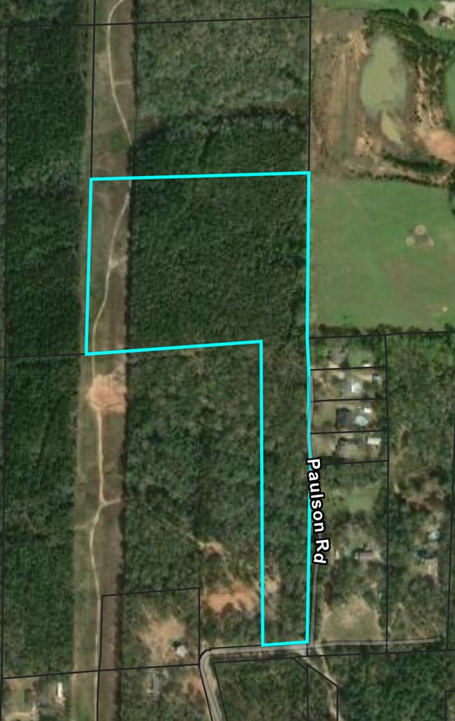 0 Holmes Road Newton, AL 36352 - Photo 7 of 8
