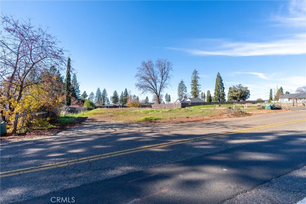 6337 Oliver Road Paradise, CA 95969 - Photo 16 of 21 a view of a yard with a large tree