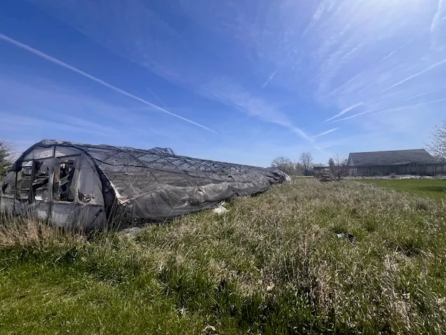 a view of a green field with clear sky