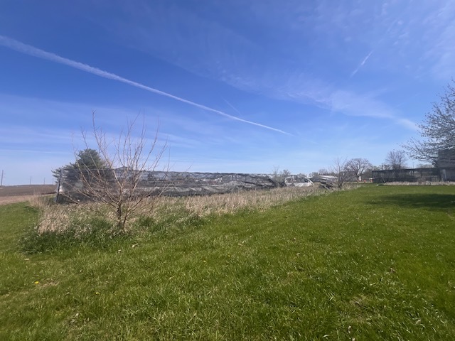 100 South 4th Street Wapella, IL 61777 - Photo 7 of 16 a view of a green field with clear sky