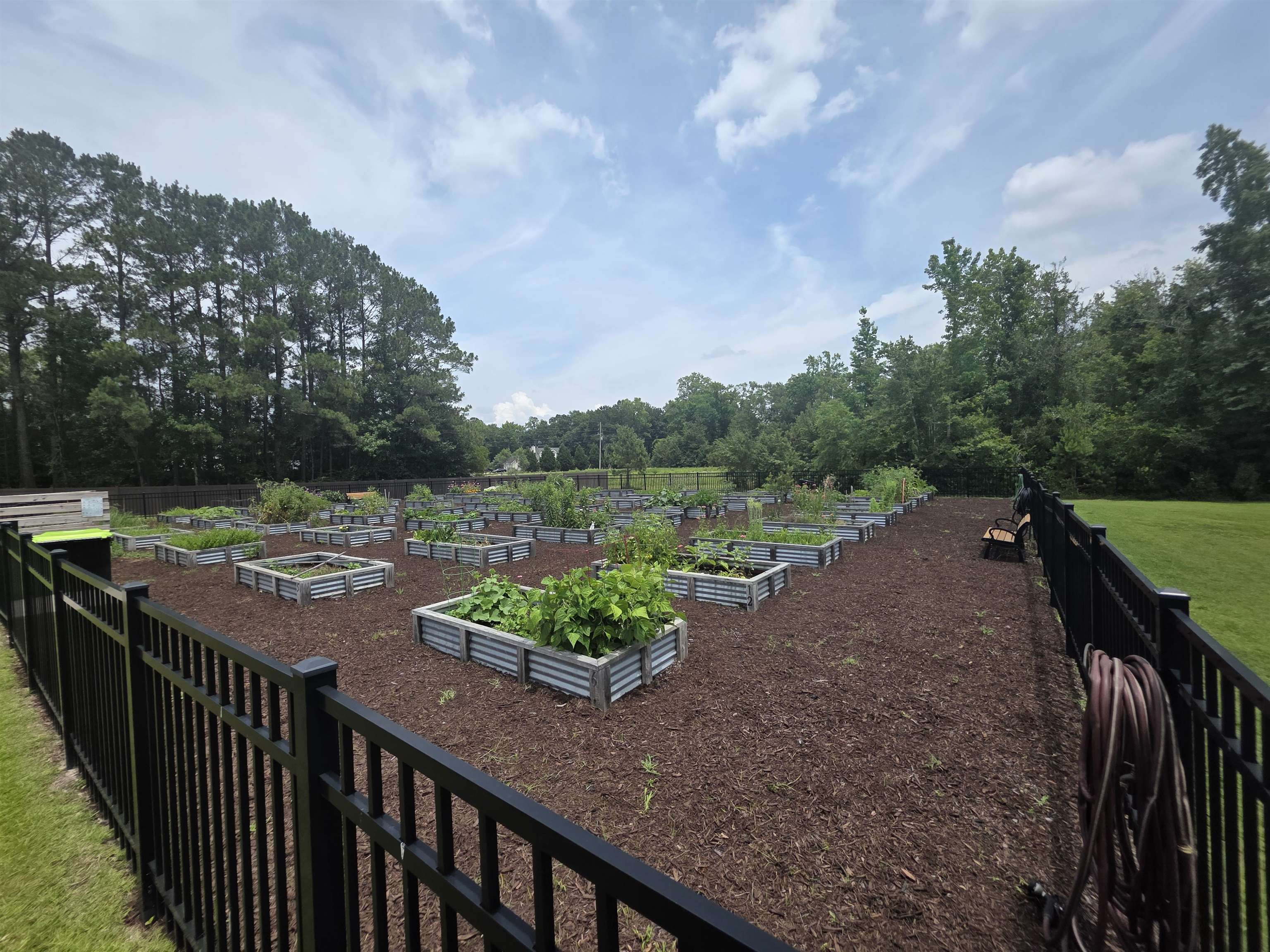 145 Cypress Tree Loop Longs, SC 29568 - Photo 21 of 22