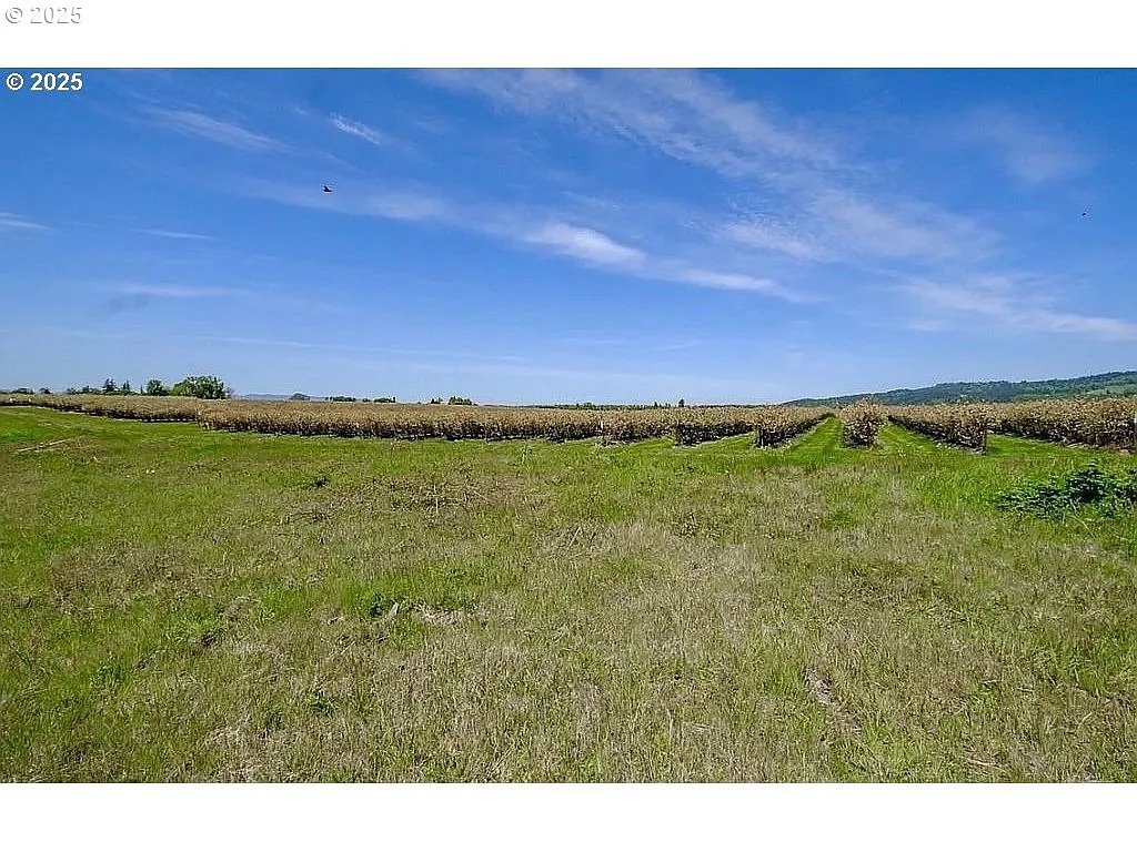 9603 Wells Landing Road Independence, OR 97351 - Photo 5 of 6 a view of an ocean and a yard