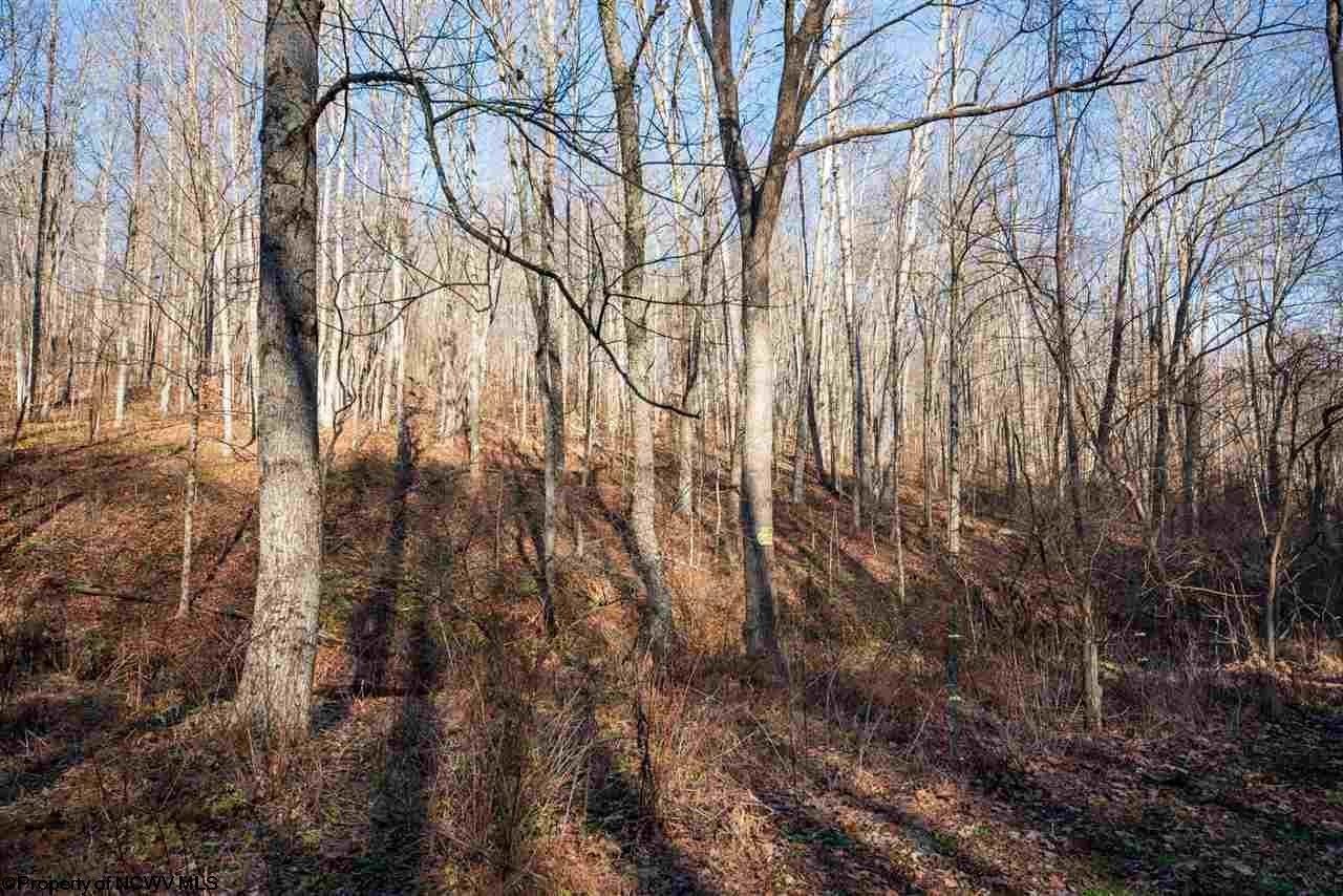 686 Salt Lick Road Mannington, WV 26582 - Photo 4 of 29 Gallery Image 4