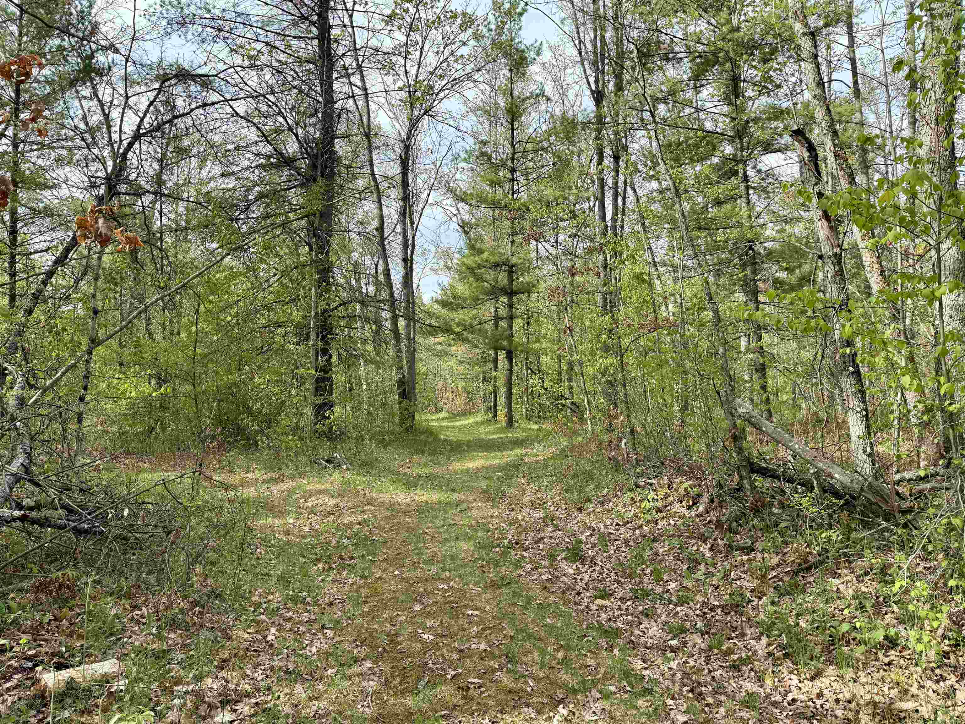 8105 Bamfield Road South Branch, MI 48761 - Photo 23 of 32 1934238-86e6afa3-a514-4305-bc76-7e7904800fbd.JPG