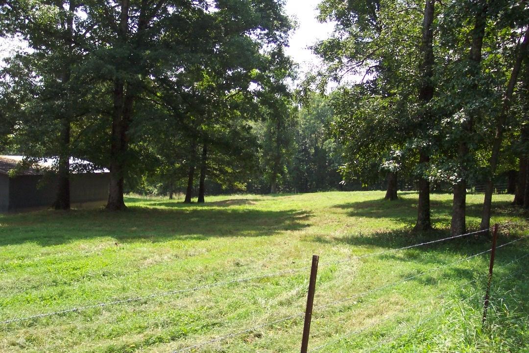 65 Co Road Riceville, TN 37370 - Photo 3 of 7 102_1849