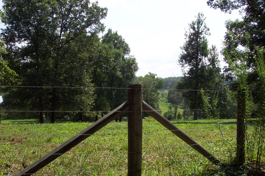 65 Co Road Riceville, TN 37370 - Photo 5 of 7 102_1851