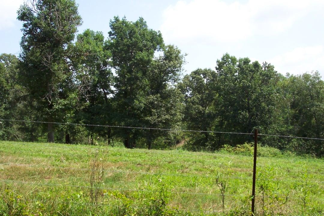 65 Co Road Riceville, TN 37370 - Photo 6 of 7 102_1852