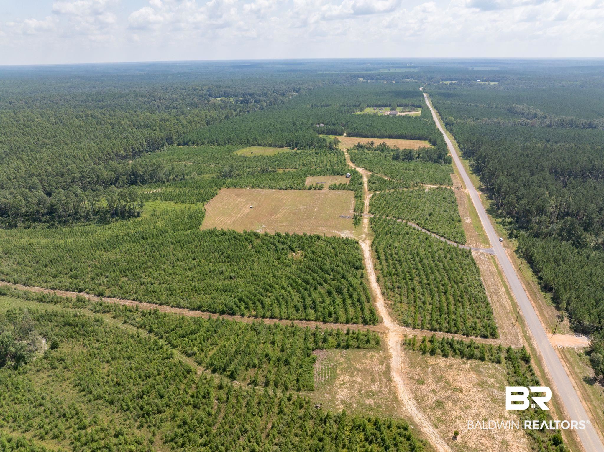 0 Horseneck Road Bay Minette, AL 36507 - Photo 5 of 11