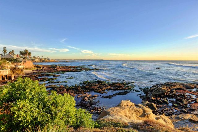 a view of beach and ocean