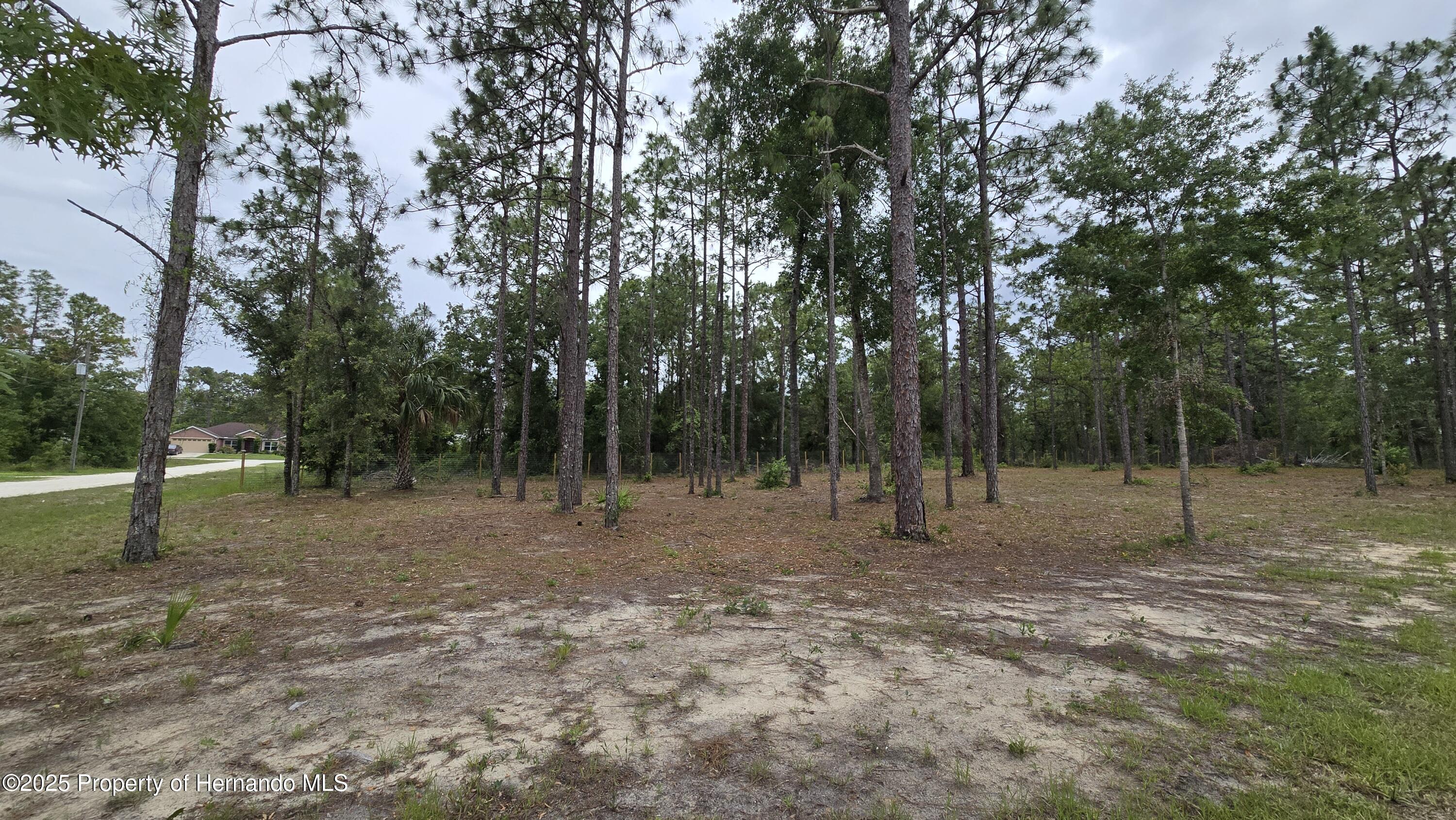 0 Catbird Road Weeki Wachee, FL 34614 - Photo 4 of 6
