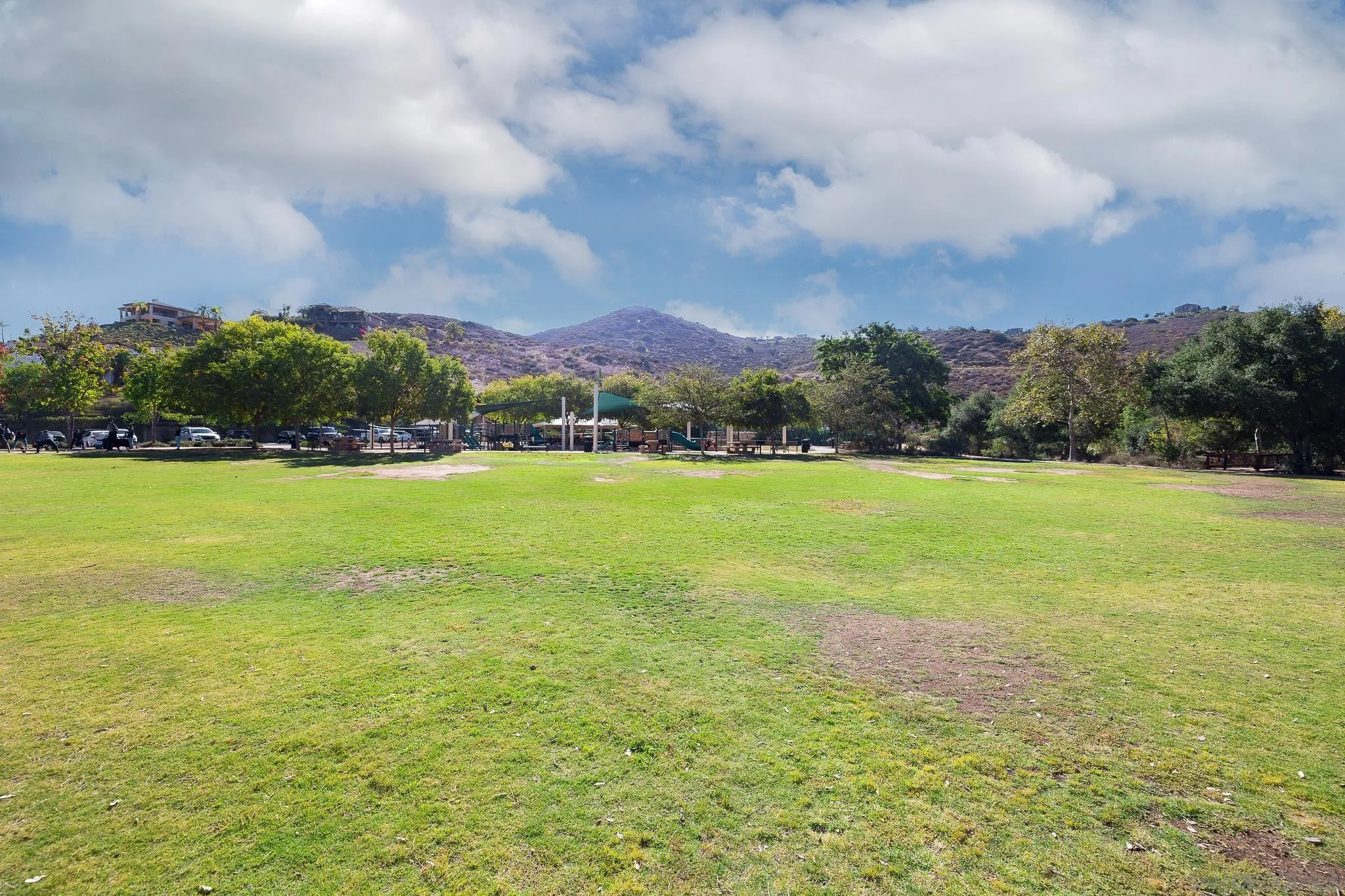 9126 Heatherdale Street Santee, CA 92071 - Photo 32 of 33 a view of a big yard with a large trees