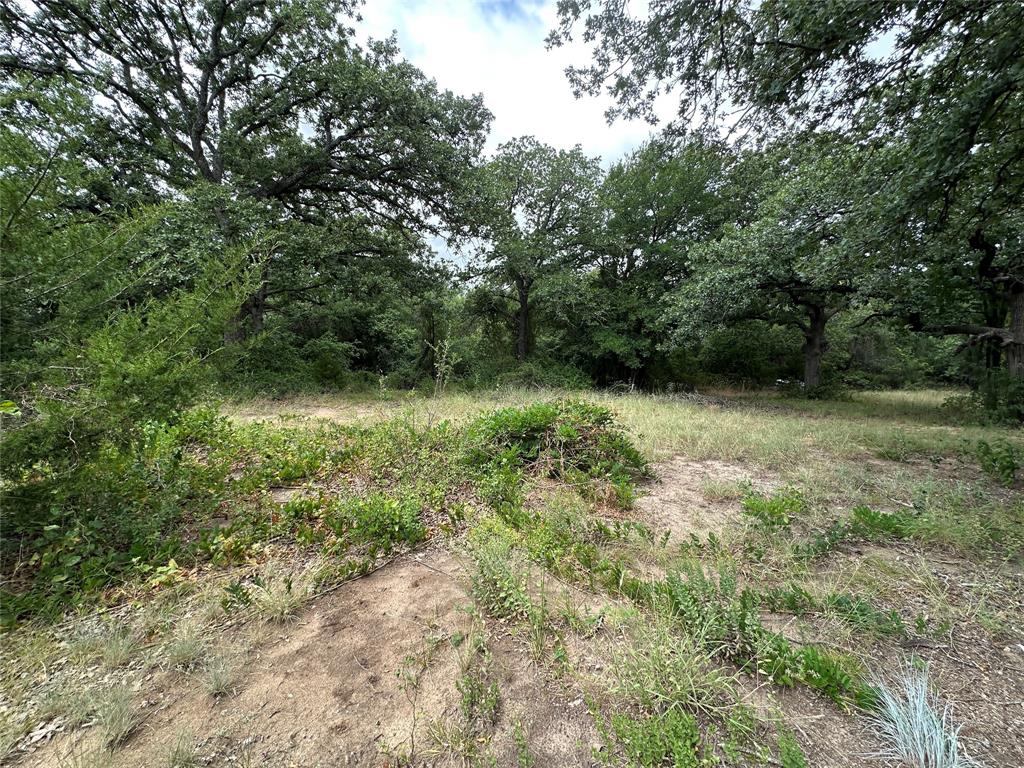 176 Live Oak Road Springtown, TX 76082 - Photo 11 of 29