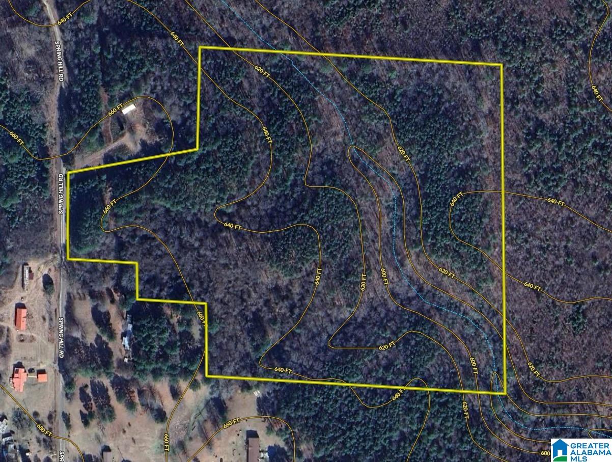 0 Spring Hill Road Nauvoo, AL 35578 - Photo 43 of 44