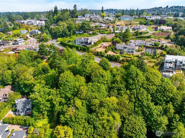 an aerial view of residential houses with outdoor space and trees